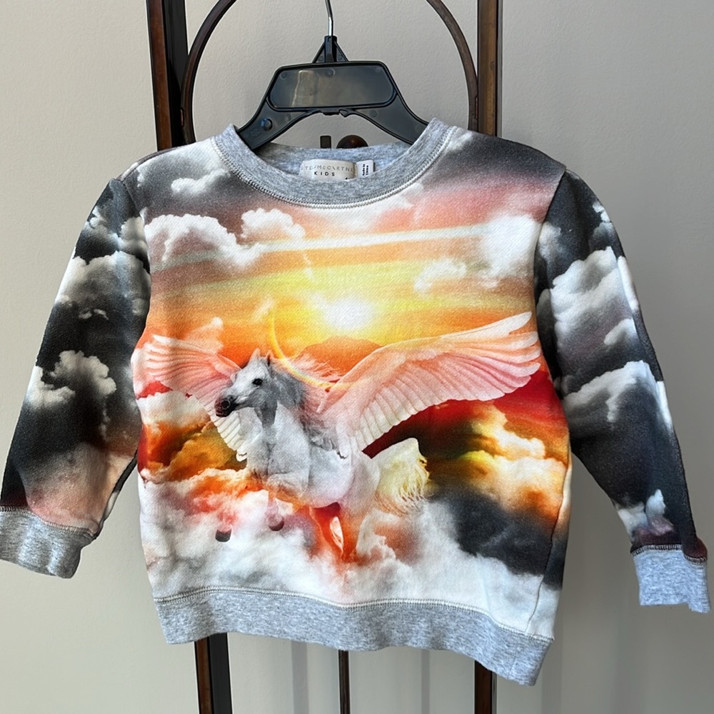 Stella McCartney Pegasus Mystic Peggy‎ Sweatshirt Horse Photorealism Sunset